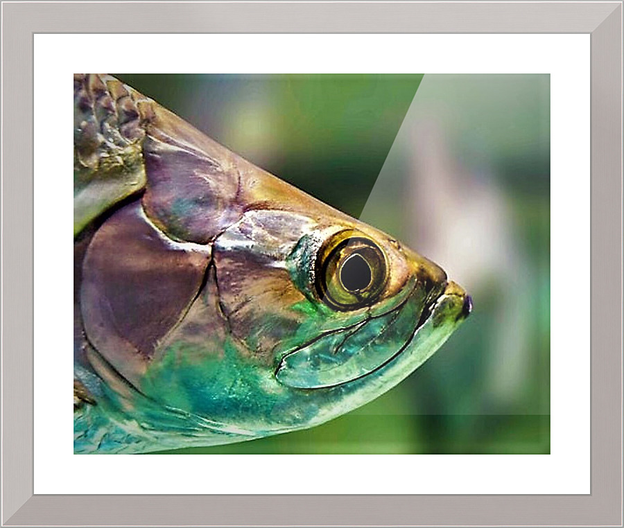 1499 Picture Frame print