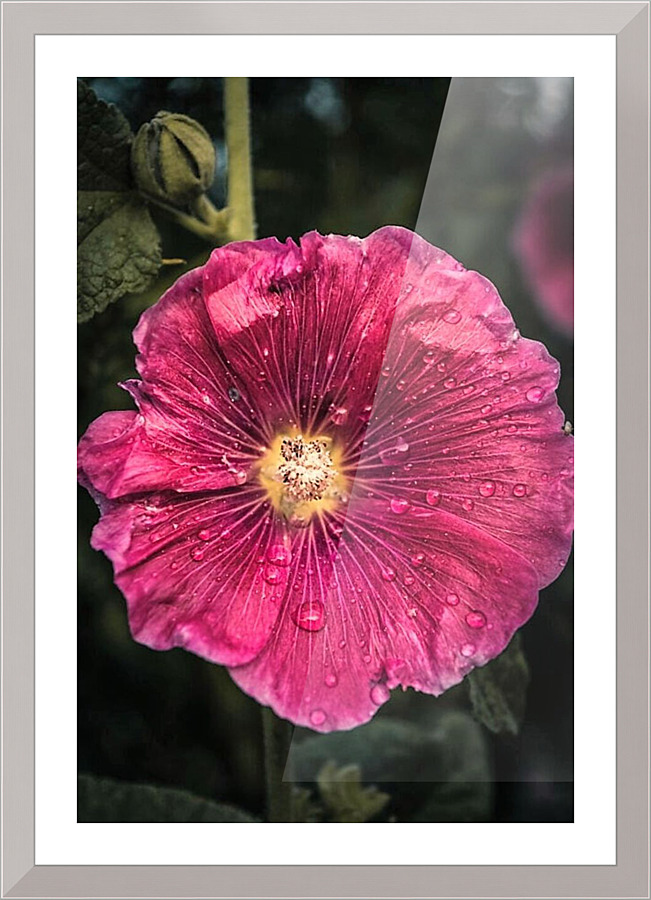 1502 Picture Frame print
