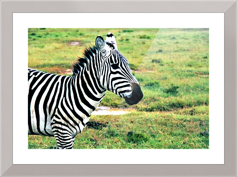 1508 Picture Frame print