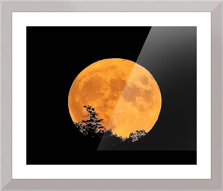 1517 Picture Frame print