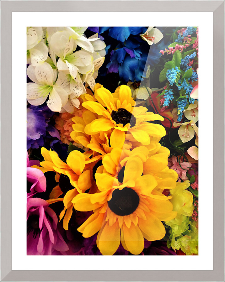 1521 Picture Frame print