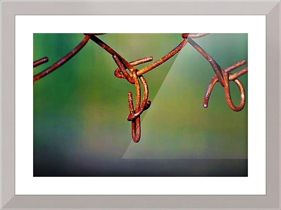 1545 Picture Frame print