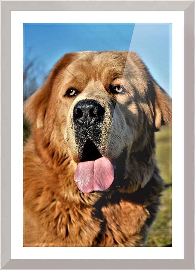 1550 Picture Frame print