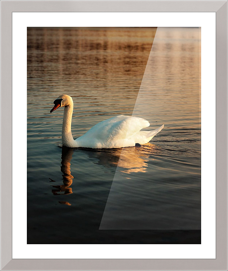 1561 Picture Frame print