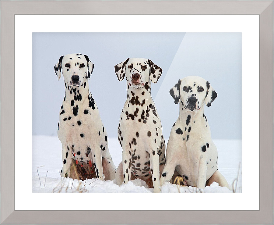 1612 Picture Frame print