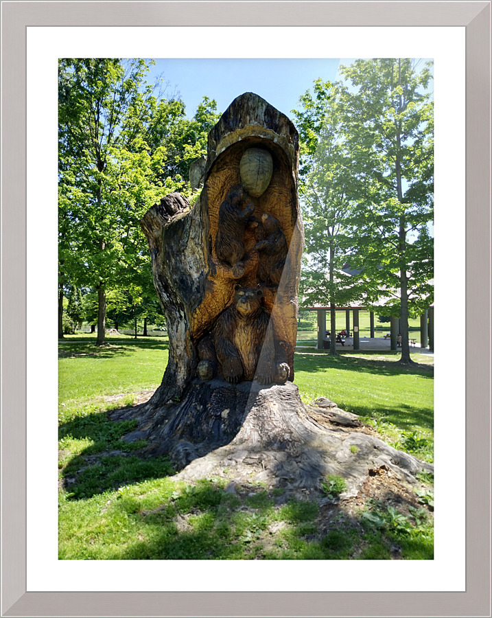 1672 Picture Frame print