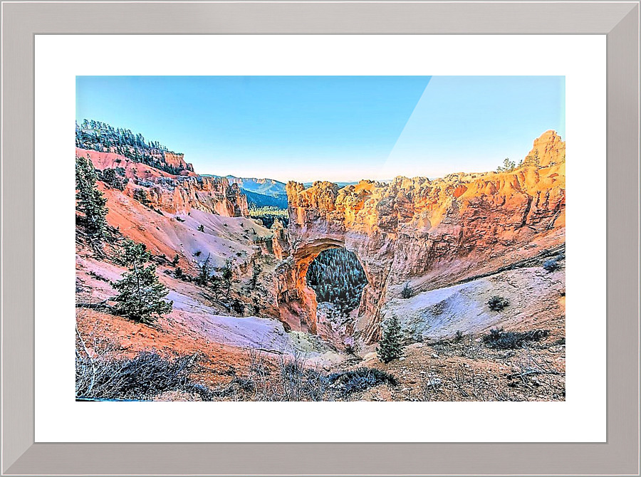 1674 Picture Frame print