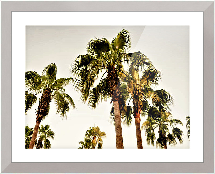 1691 Picture Frame print