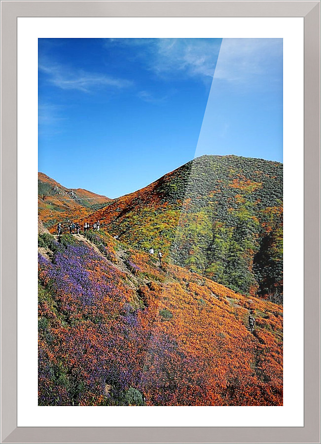 1692 Picture Frame print