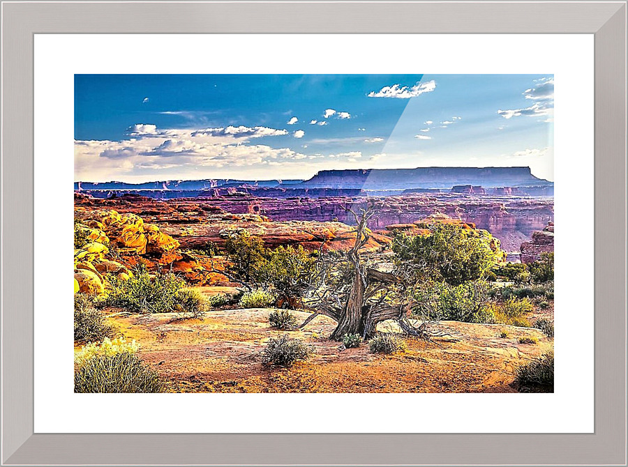 1697 Picture Frame print