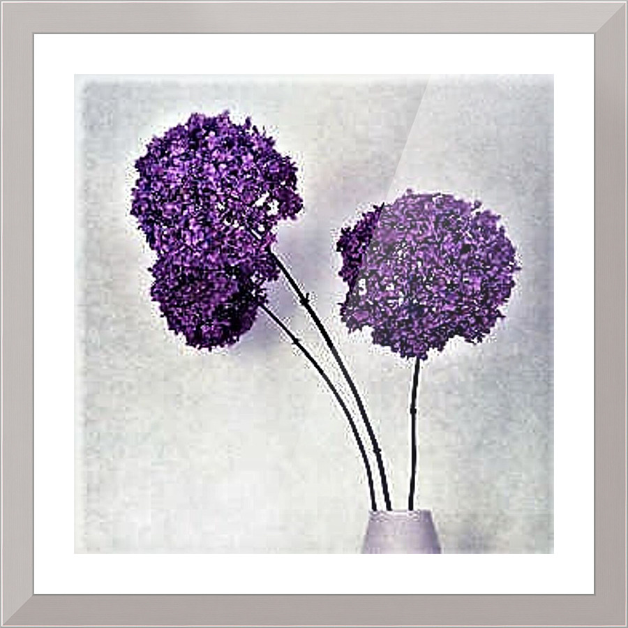 1704 Picture Frame print