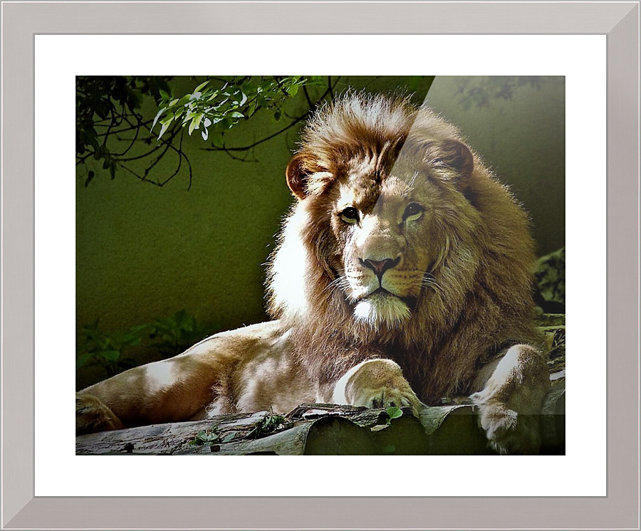 1719 Picture Frame print