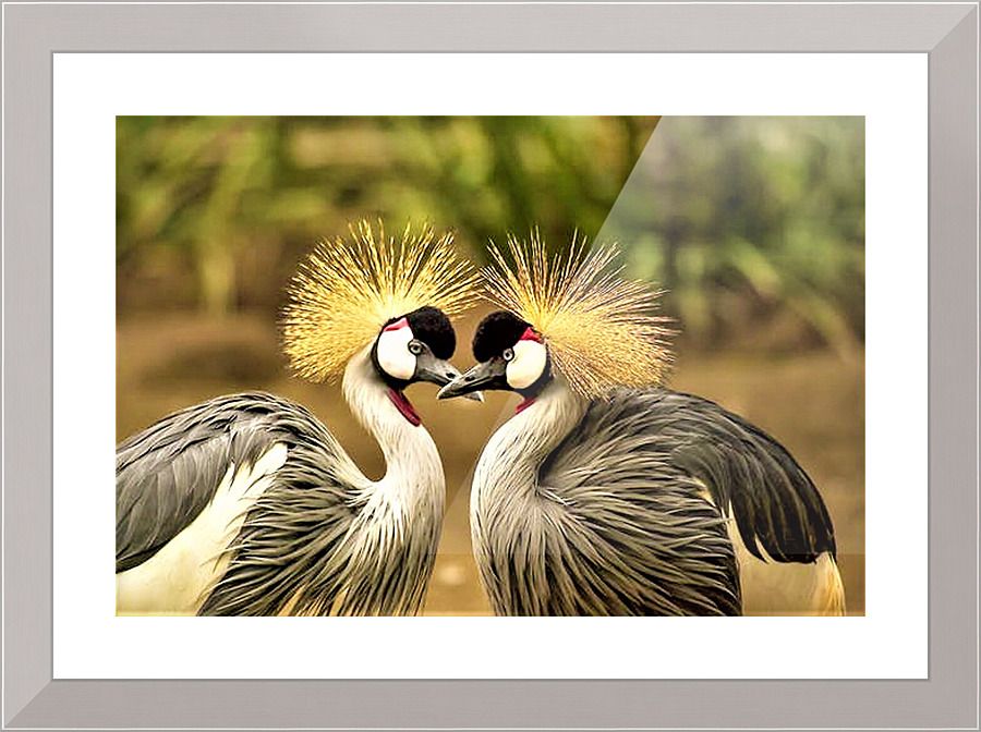 1724 Picture Frame print