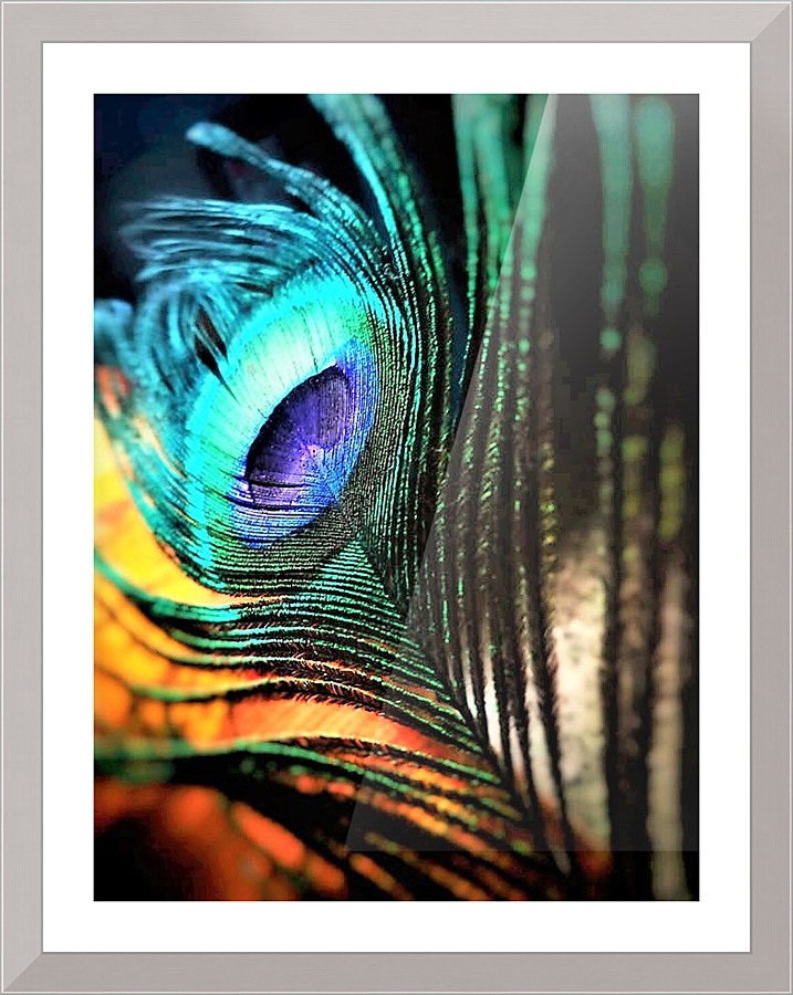 1749 Picture Frame print