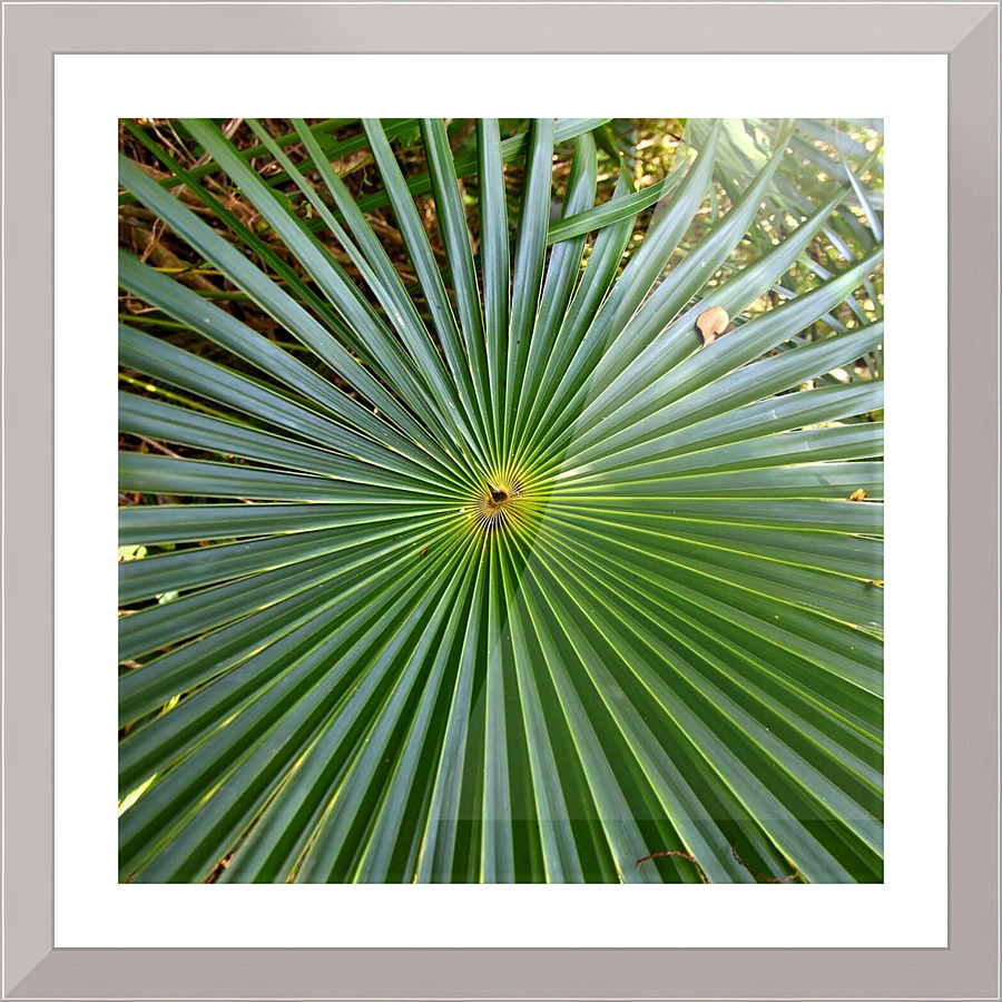 1774 Picture Frame print