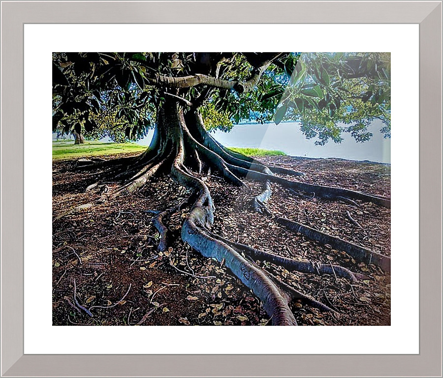 1805 Picture Frame print