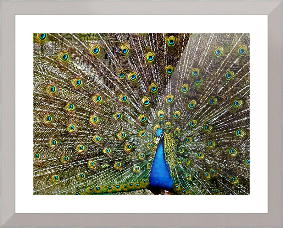 1822 Picture Frame print