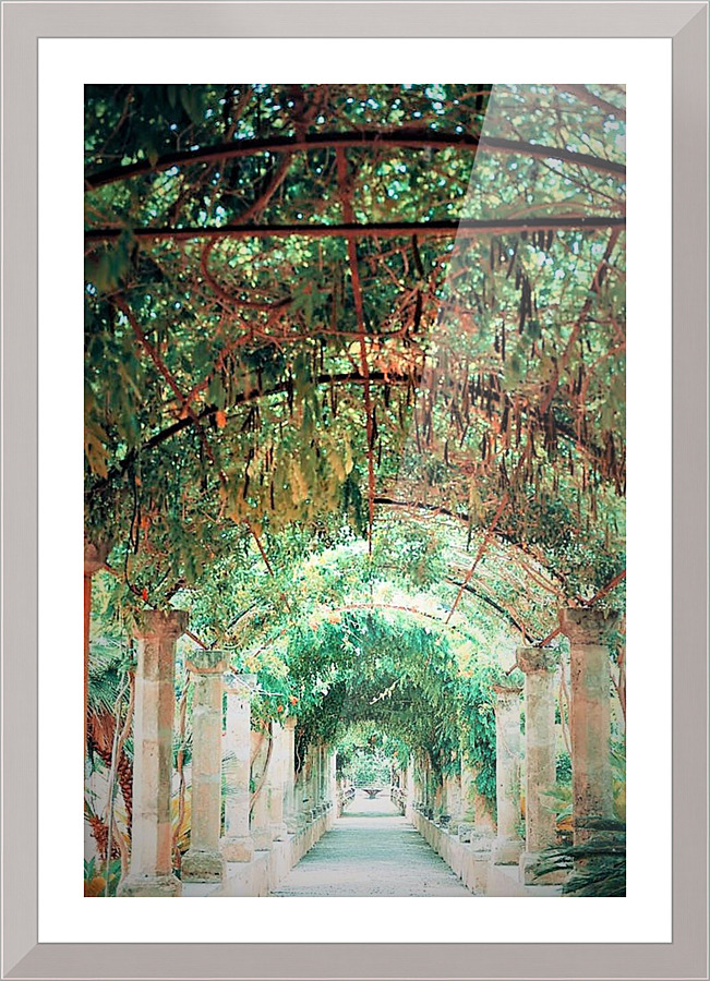 1850 Picture Frame print