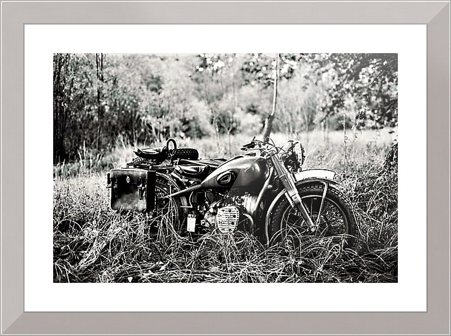 2009 Picture Frame print