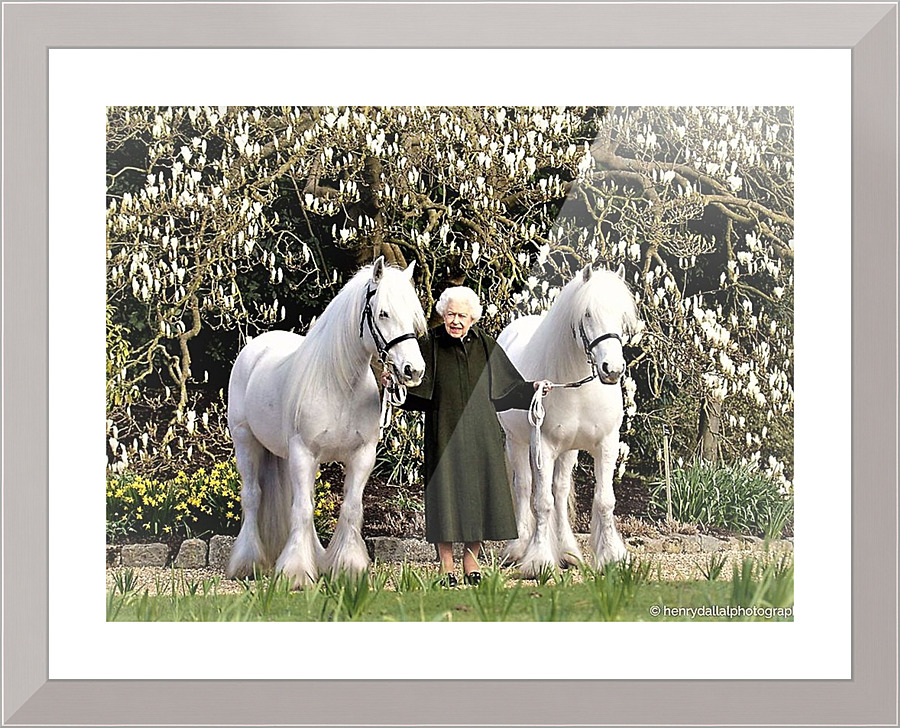 2037 Picture Frame print