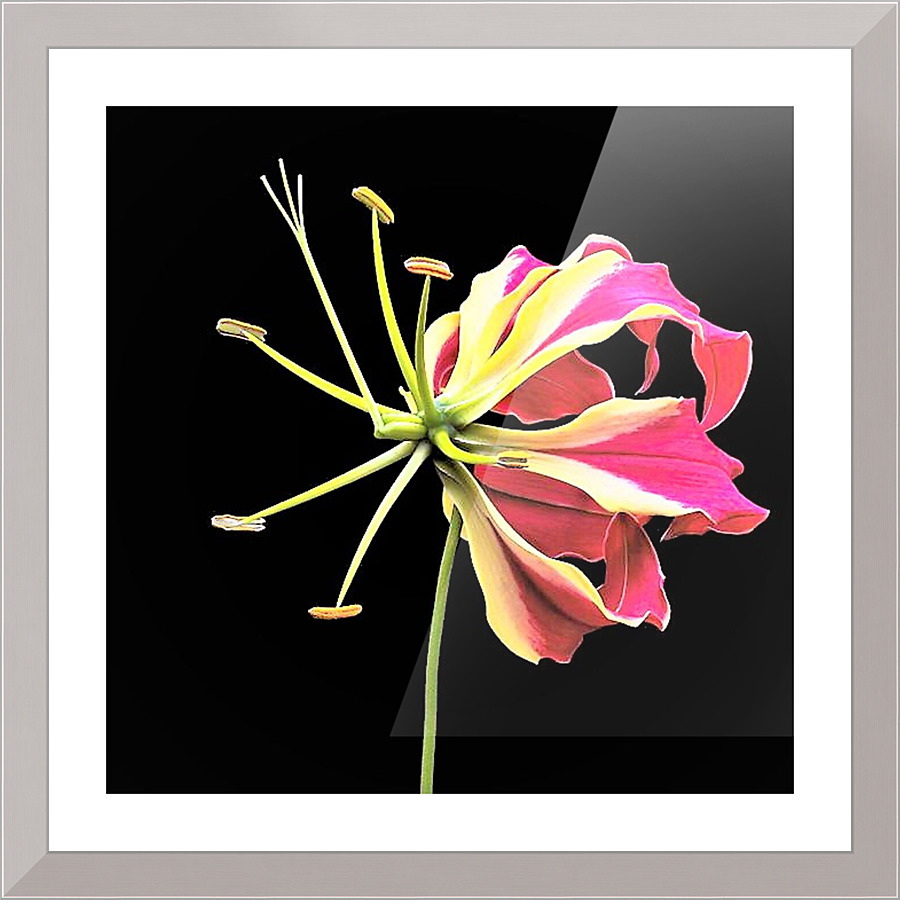 2063 Picture Frame print