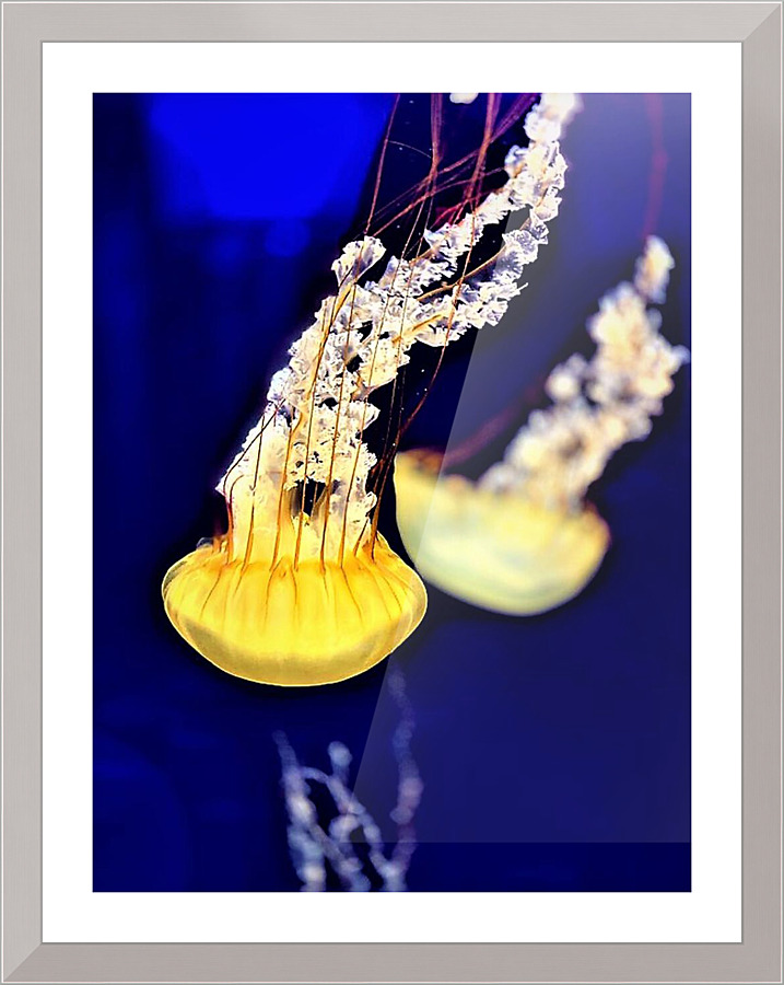 2072 Picture Frame print