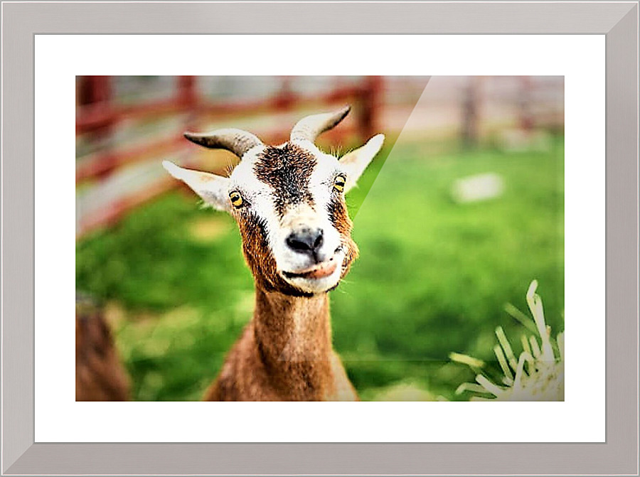 2083 Picture Frame print
