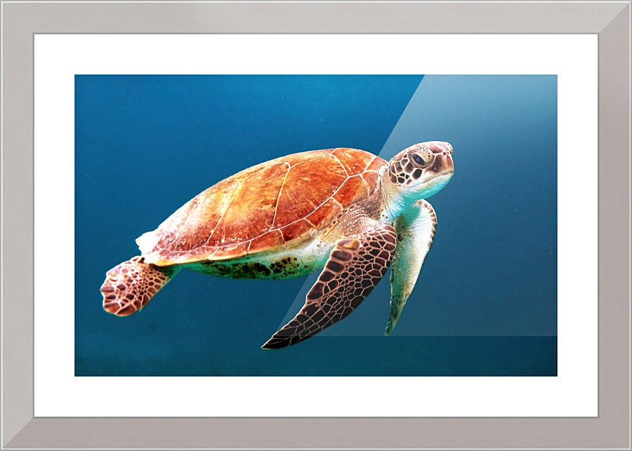 2096 Picture Frame print