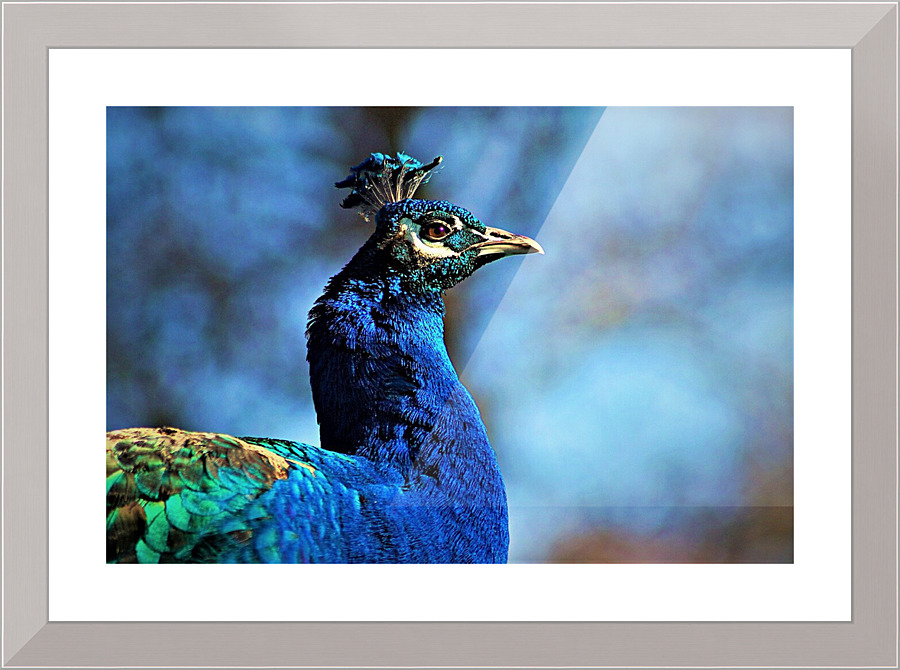 2133 Picture Frame print