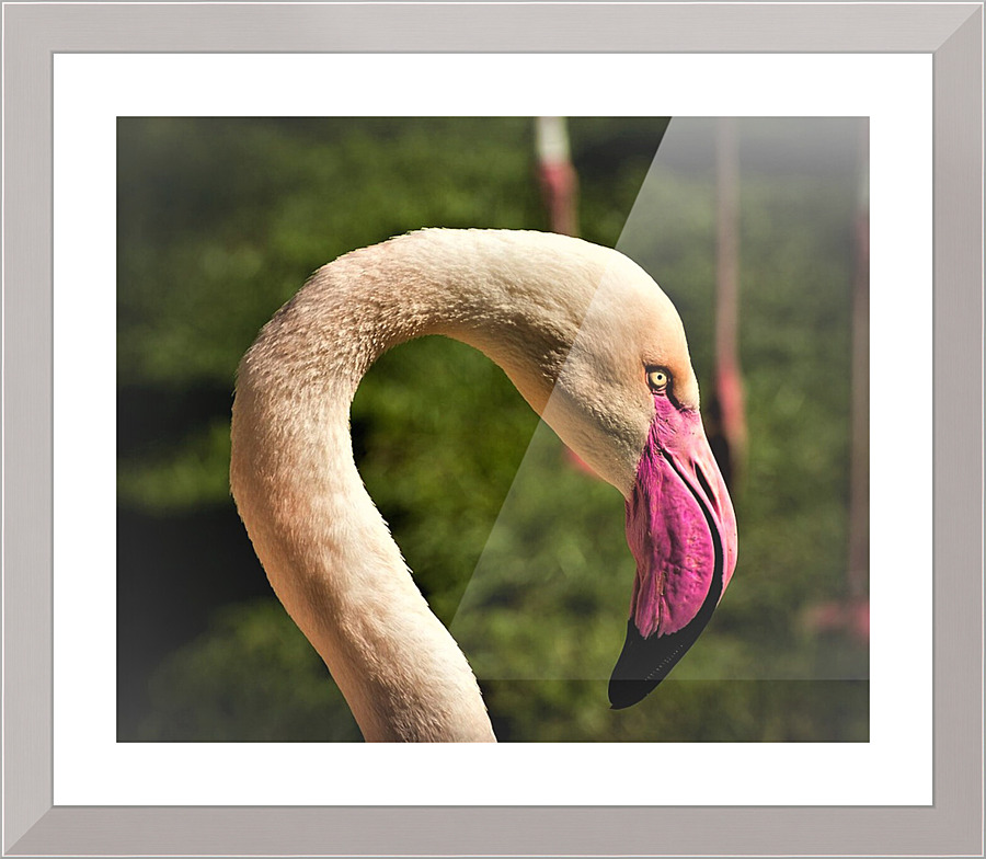 2145 Picture Frame print