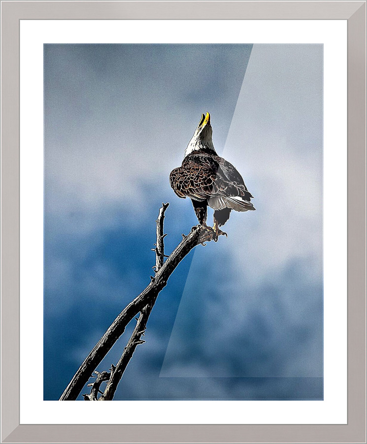 2147 Picture Frame print