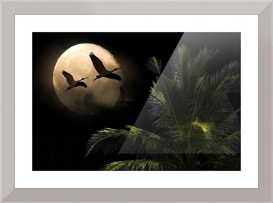 2167 Picture Frame print