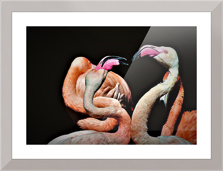 2170 Picture Frame print