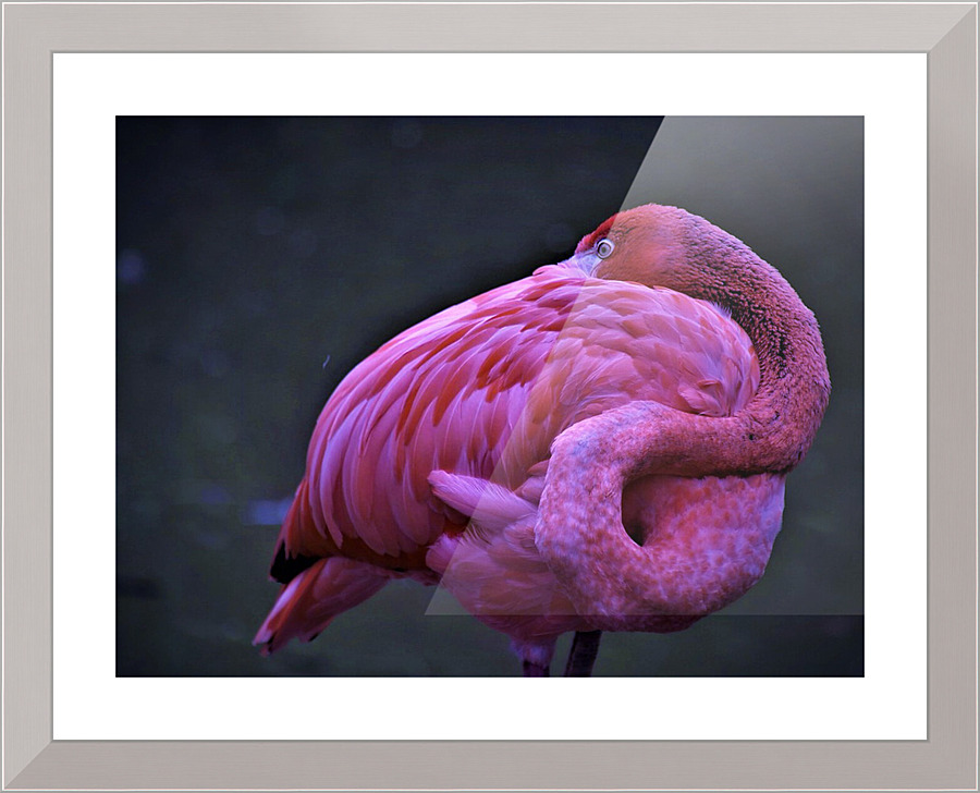 2172 Picture Frame print