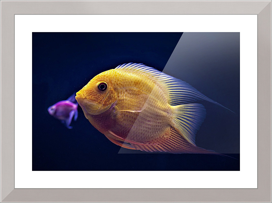 2181 Picture Frame print