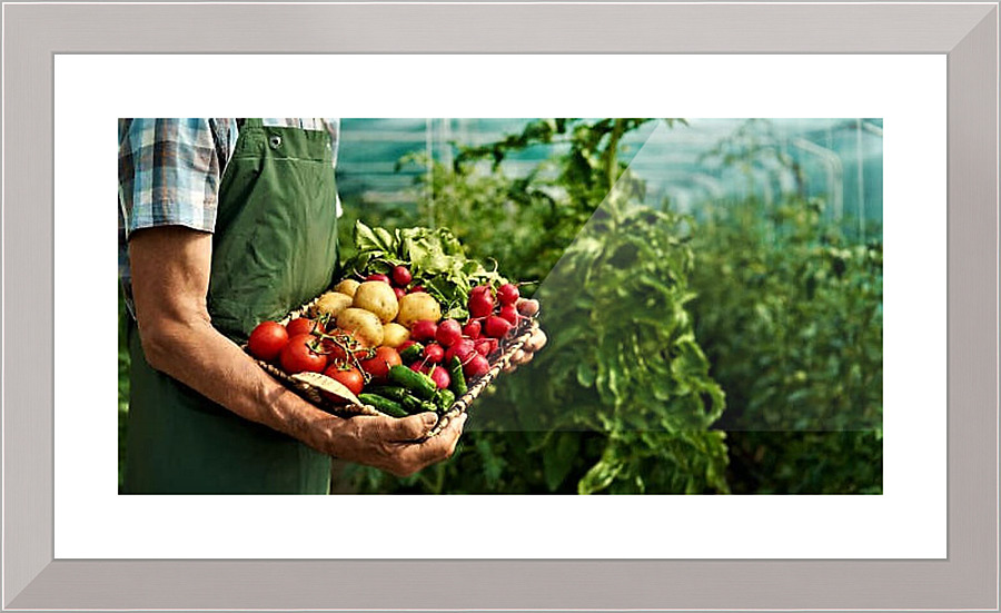 2203 Picture Frame print