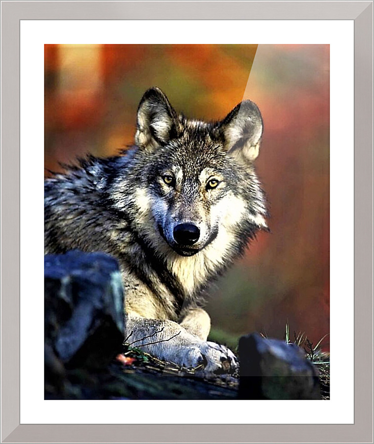 2235 Picture Frame print