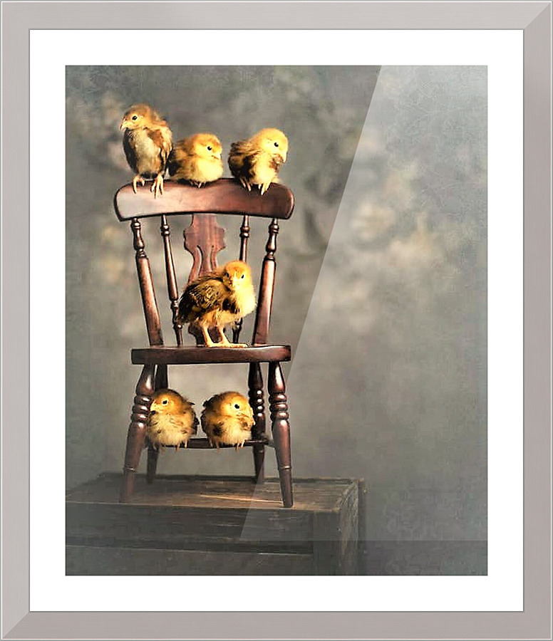 2240 Picture Frame print