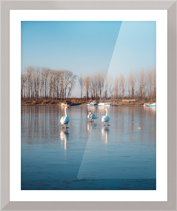 2252 Picture Frame print