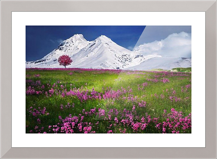2255 Picture Frame print
