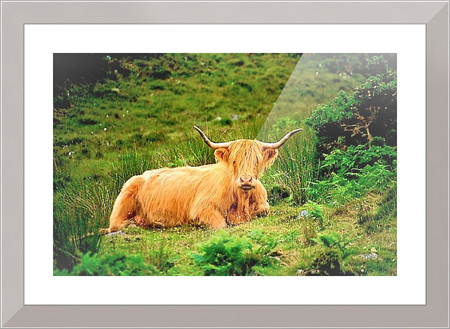 2257 Picture Frame print