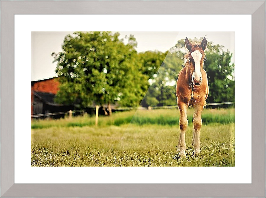 2271 Picture Frame print