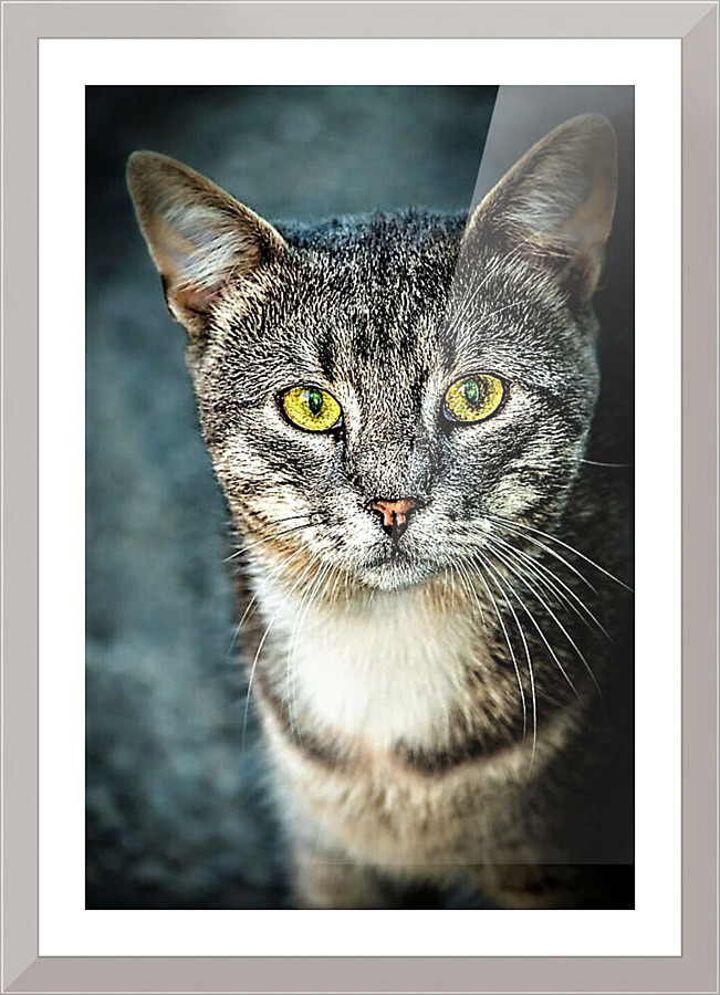 2272 Picture Frame print