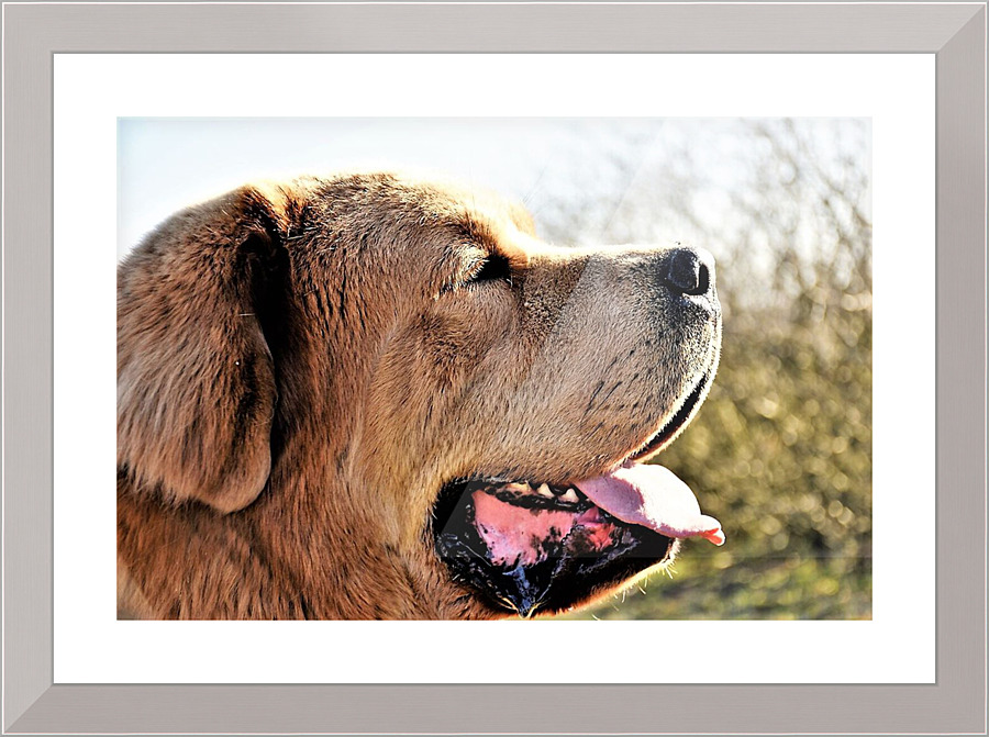 2273 Picture Frame print