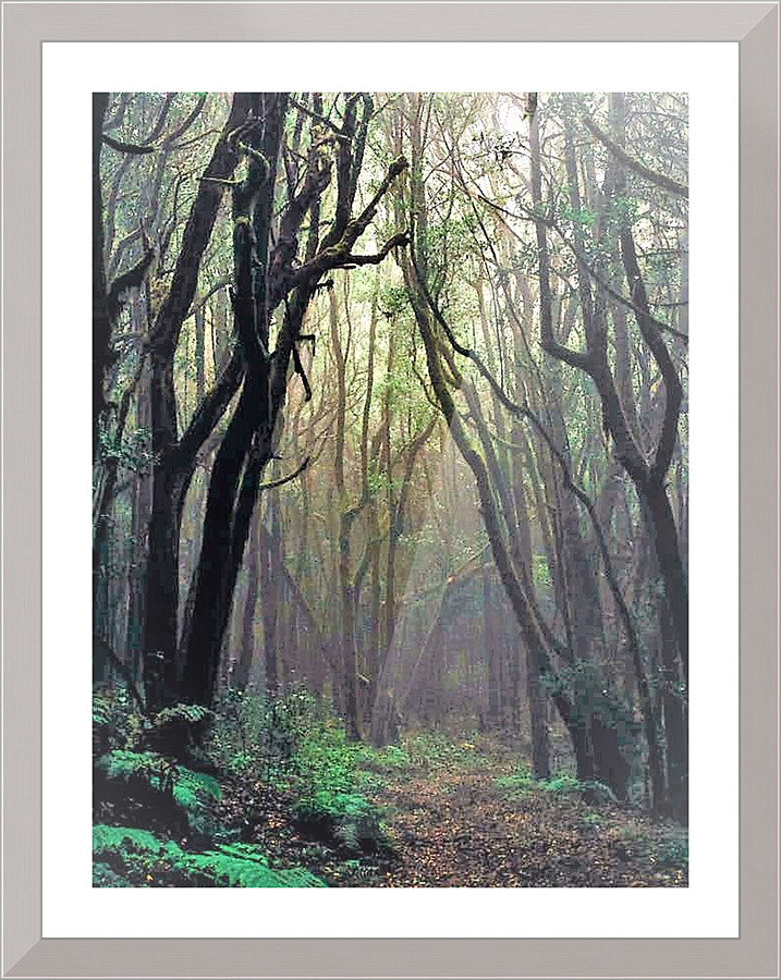 2283 Picture Frame print