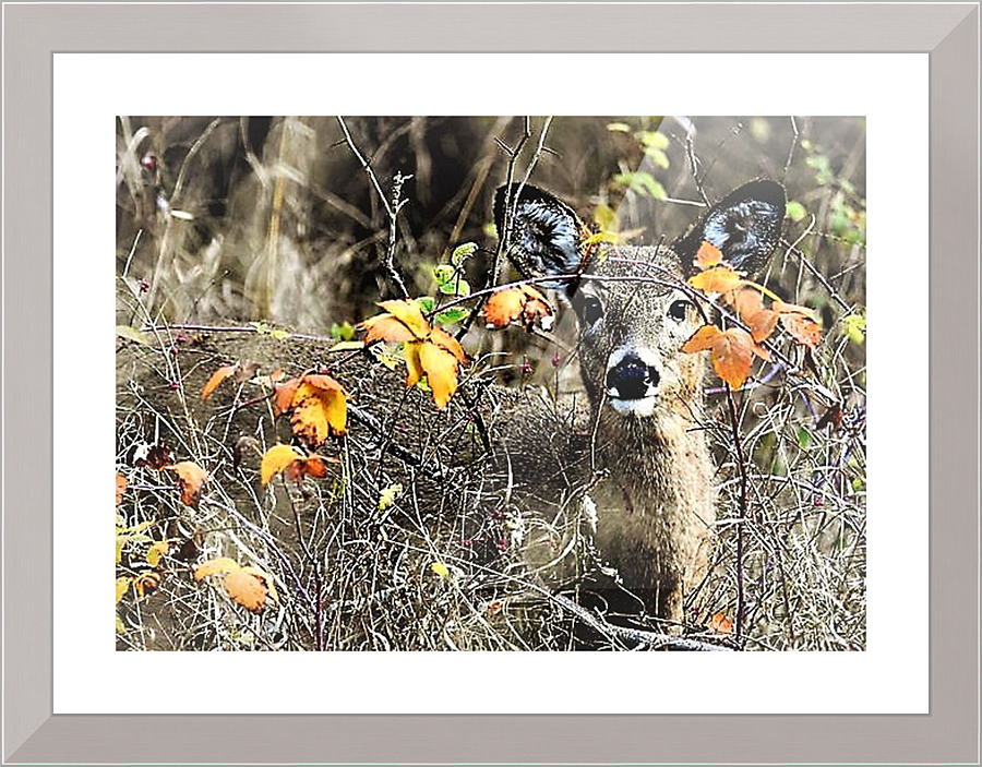 2291 Picture Frame print