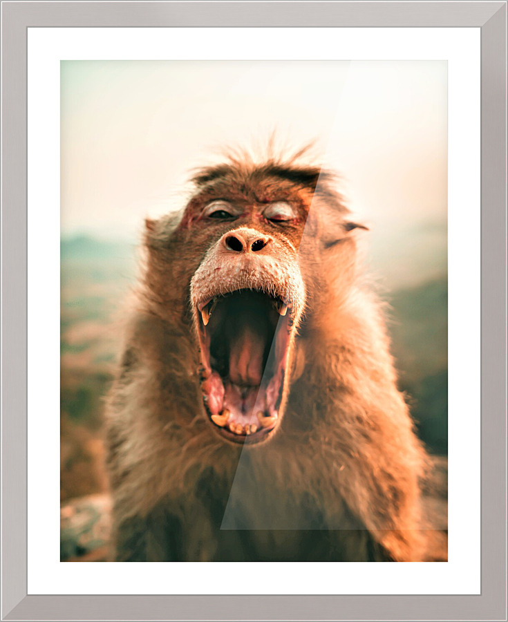 2294 Picture Frame print