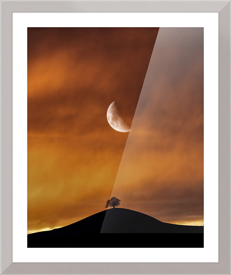 2299 Picture Frame print