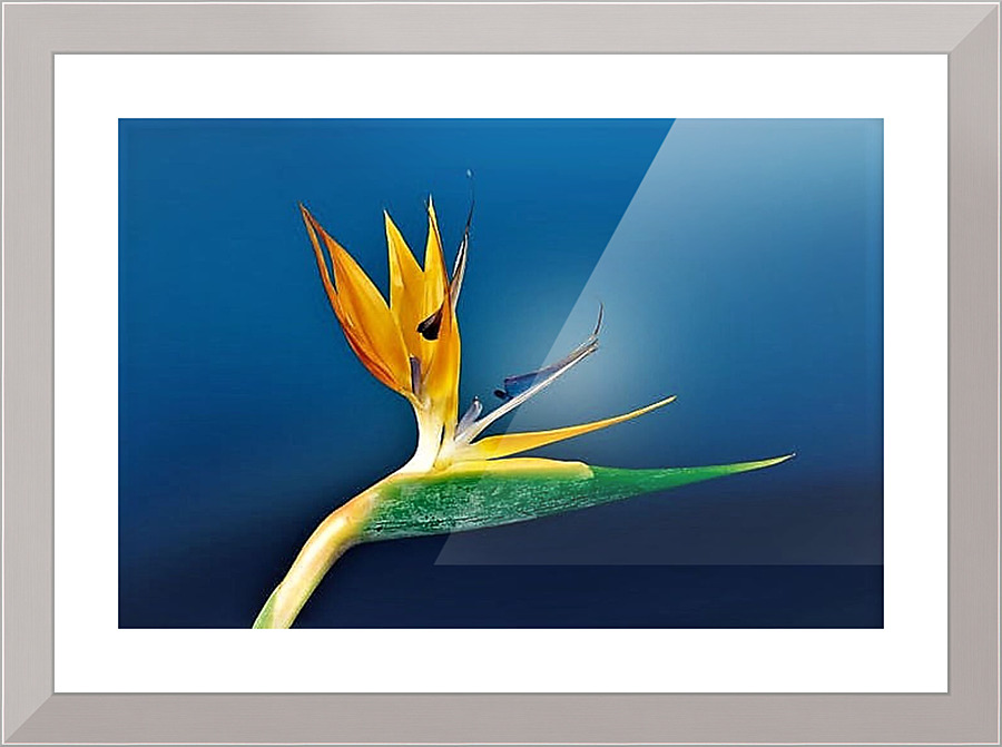2316 Picture Frame print