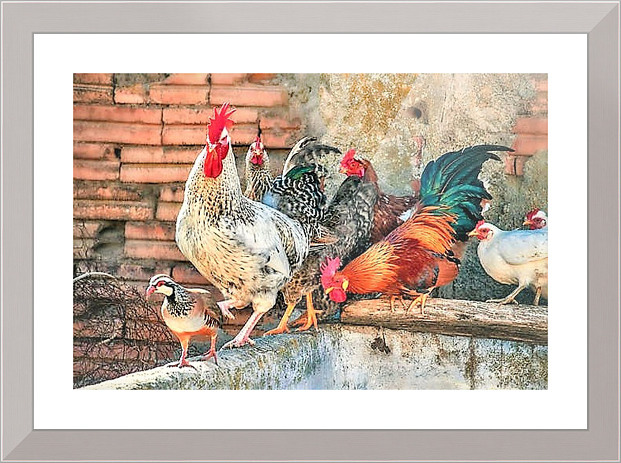 2324 Picture Frame print